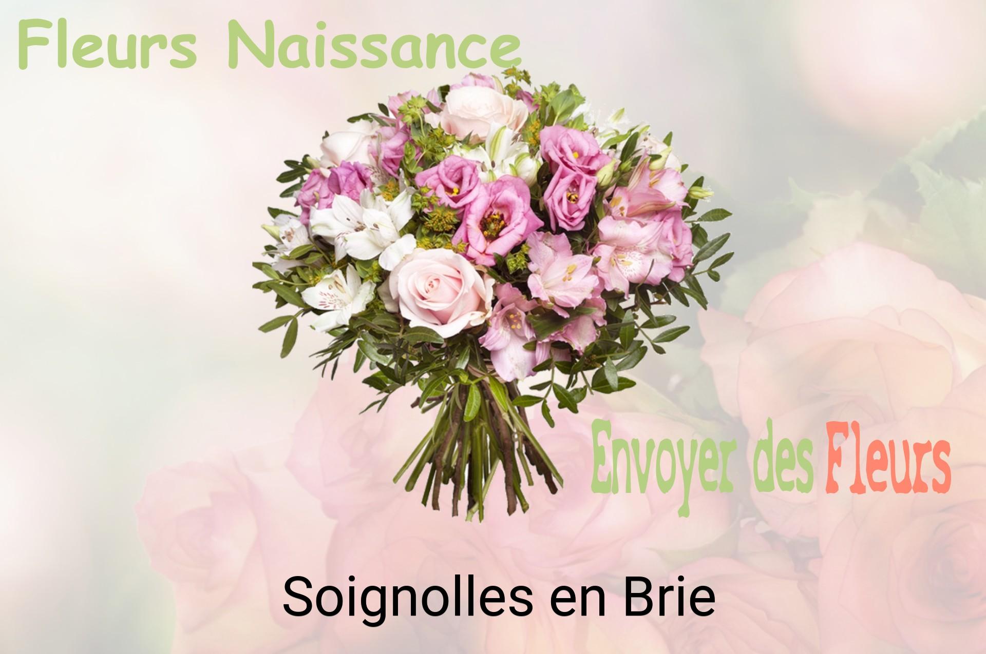 Bouquet de fleurs de naissance livré à Soignolles-en-Brie